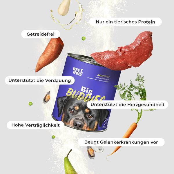 Big Buddies - Wet Food - 800g