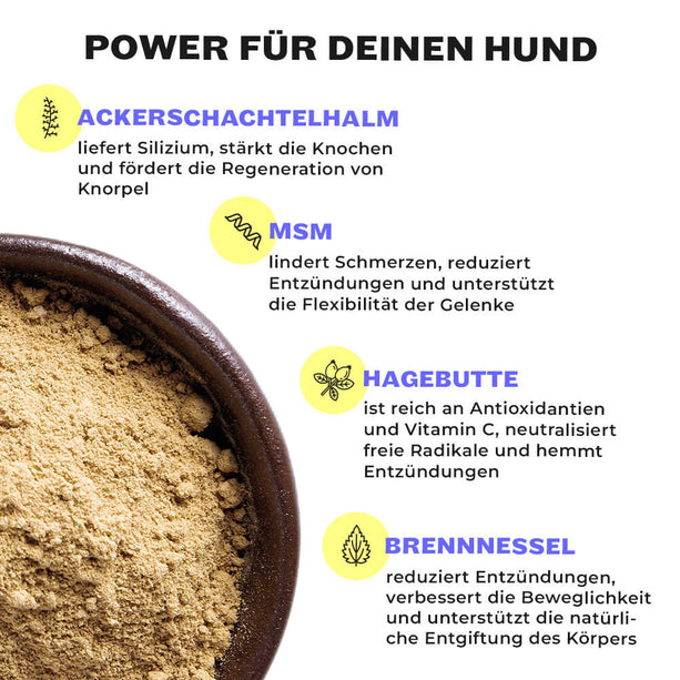 Mighty Mobility Inhaltsstoffe: Algen, Hyaluron, Chondroitin, Kollagen, Grünlippmuschel erklärt