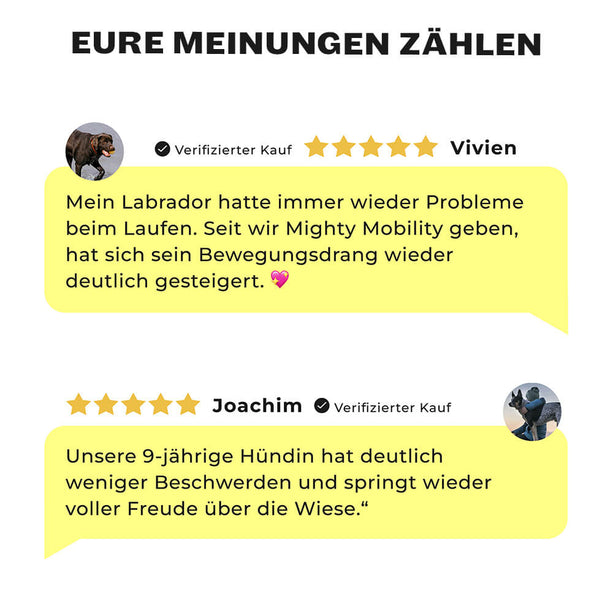 Kundenbewertungen über Mighty Mobility: Verbesserung der Beweglichkeit bei älteren Hunden