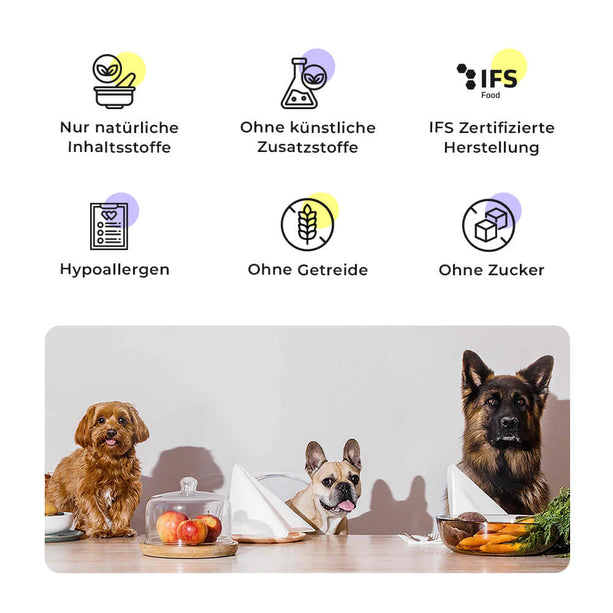 Drei Hunde am Tisch mit Symbolen für natürliche, getreidefreie, zuckerfreie Zutaten