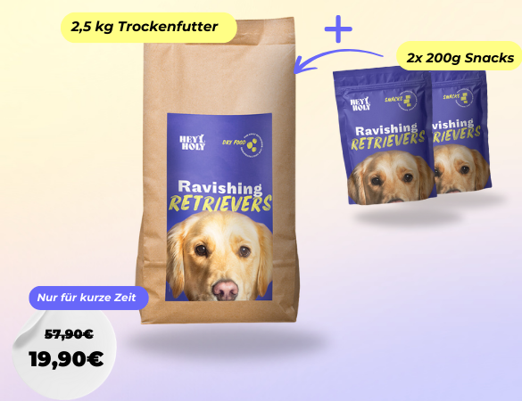 Ravishing Retrievers Starterpack
