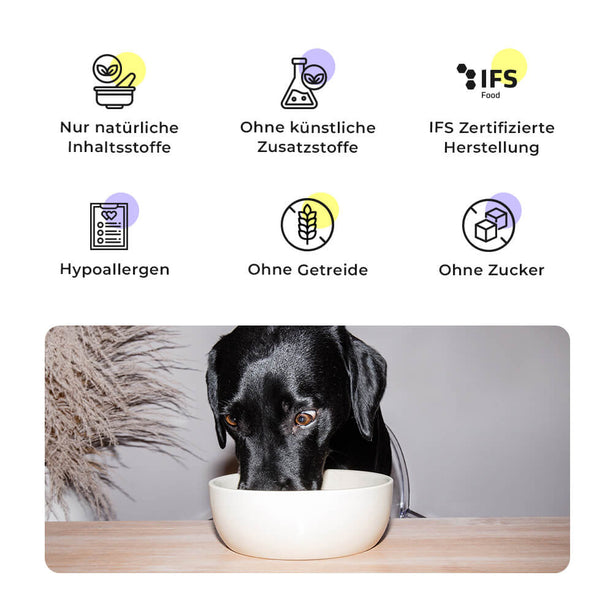Ravishing Retrievers - Wet Food