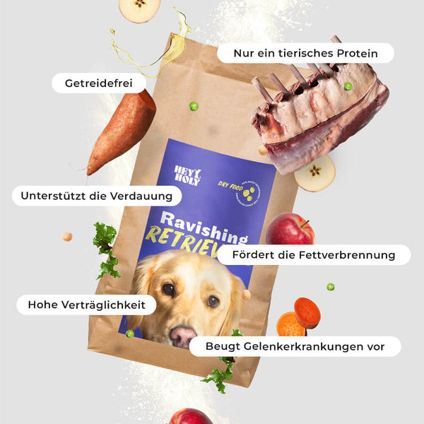 Ravishing Retrievers - Croquettes