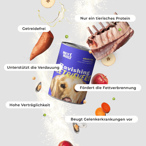 Ravishing Retrievers - Wet Food