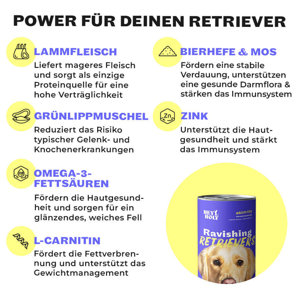 Ravishing Retrievers - Wet Food