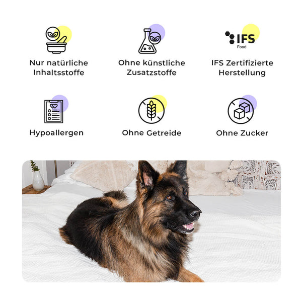 Shine-Bright Shepherds - Wet Food - 400g