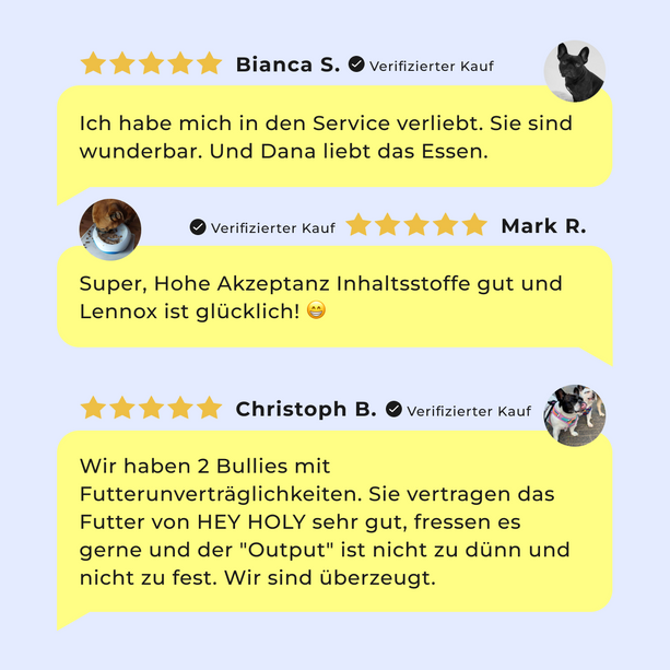 Big Buddies - Starterpaket S