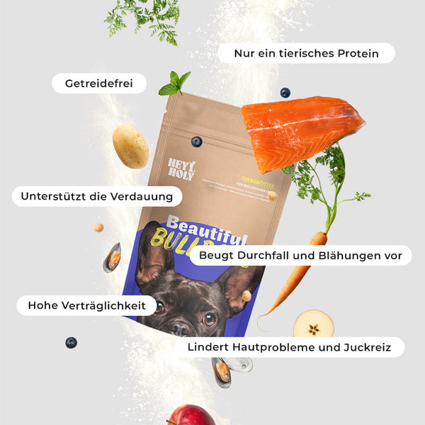 HEY HOLY Beautiful Bulldogs Trockenfutter Futterprobe Vorteile