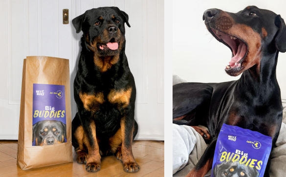 Hunde die Big Buddies Trockenfutter fressen