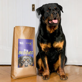 Schwarzer Rottweiler sitzt neben Big Buddies Futtersack von HEY HOLY