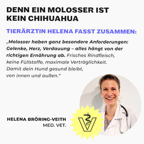 Tierärztin Helena Bröring-Veith im weißen Kittel, Veterinär-Logo und Zitat über  Molosser-Ernährung