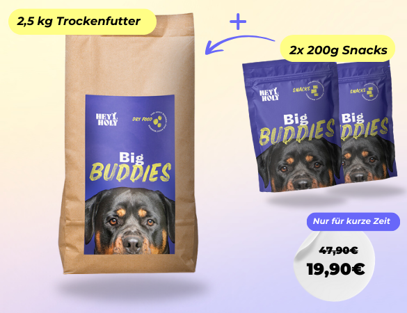 Big Buddies Starterpaket