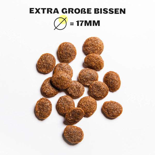 HEY HOLY Big Buddies Trockenfutter Kibbles Nahaufnahme