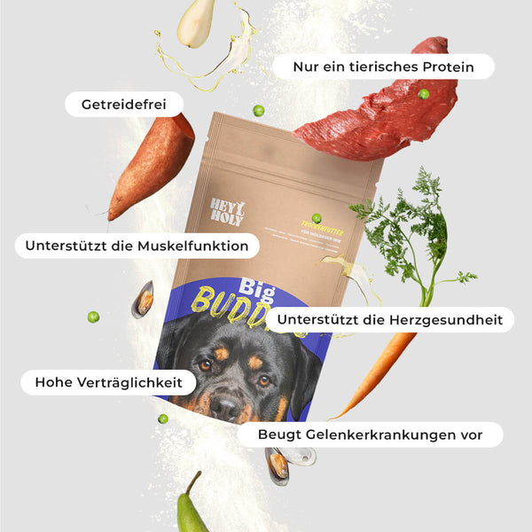 Big Buddies Sample Produkt mit Vorteilen