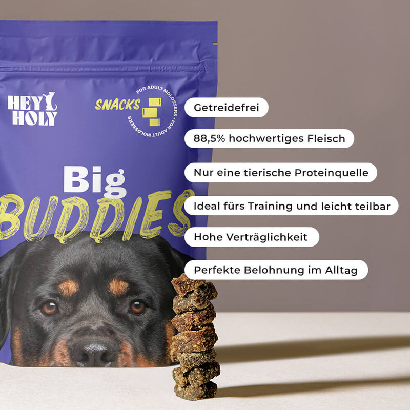 Big Buddies Snacks Produkt mit aufgelisteten Vorteilen