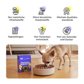 Sechs Qualitätsmerkmale des Frischfutters: nur natürliche Inhaltsstoffe, ohne künstliche Zusatzstoffe, höchste Qualitätsstandards, hypoallergen, von Tierärzten entwickelt sowie frei von Getreide und Zucker. Darunter frisst ein heller Chihuahua neben der Charming Chihuahuas Verpackung aus einer Keramikschale.