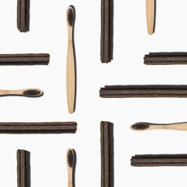 Dental Sticks und Zahnbürsten auf weißem Hintergrund