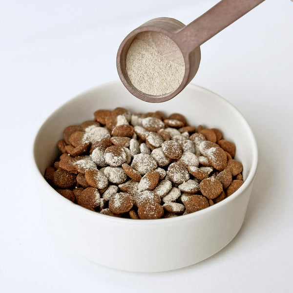 Braunes Hundefutter in weißer Schüssel mit Holzlöffel und Digestive Delight Pulver