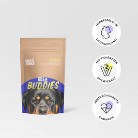 Big Buddies Sample Produkt
