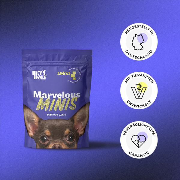 HEY HOLY Marvelous Minis Snacks