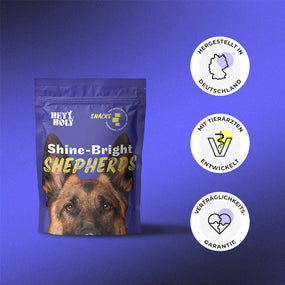 HEY HOLY Shine Bright Shepherds Snacks