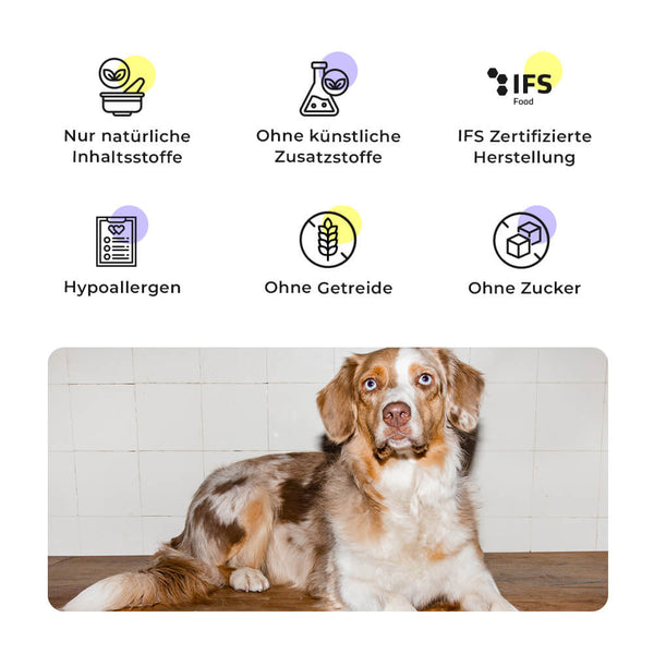 Australian Shepherd liegt auf dem Boden, daneben Qualitätsmerkmale des Happy Herders Trockenfutters