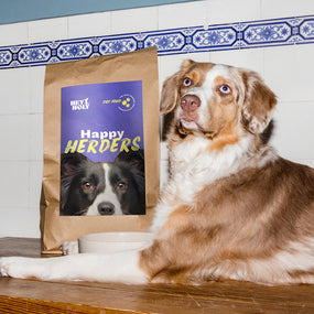 Australian Shepherd liegt neben einem Happy Herders Trockenfutter Futtersack
