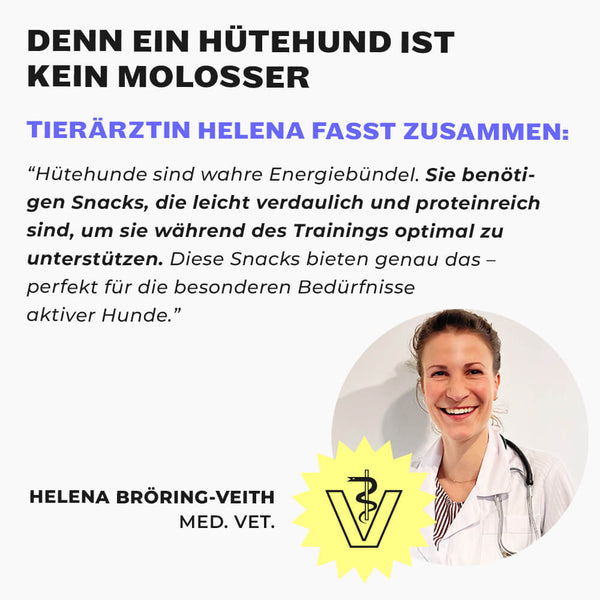 Tierärztin Helena Bröring-Veith im weißen Kittel mit Stethoskop, Veterinär-Logo und Zitat über Hütehunde-Ernährung
