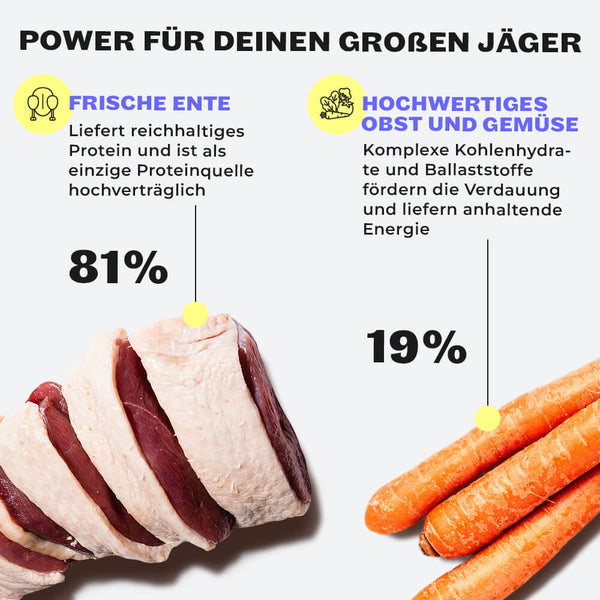 Abbildung der Heroic Hunters Inhaltsstoffe Ente, Obst und Gemüse