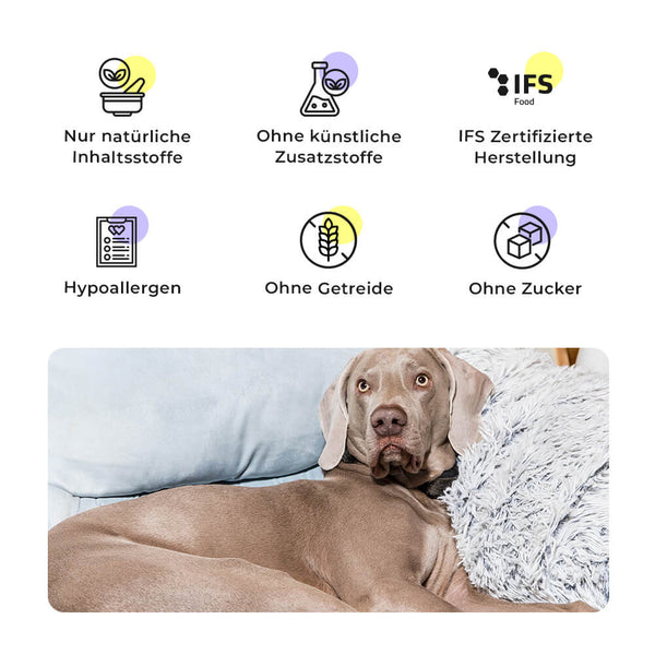 Grauer Weimaraner liegt auf einem Sofa, daneben USPs für Heroic Hunters Snacks