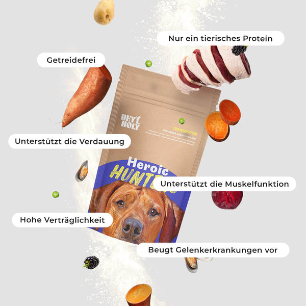 Heroic Hunters Sample Produktbild mit Vorteilen