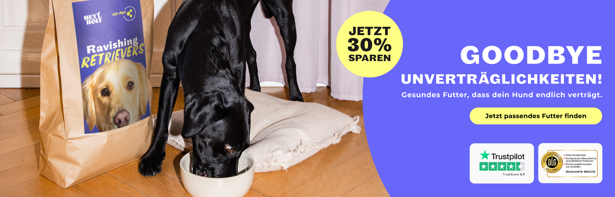 Hund blickt erwartungsvoll nach vorne daneben große 40 Prozent Rabatt Anzeige auf hellem Futterbanner