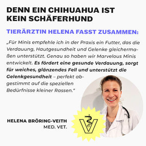 Tierärztin Helena Bröring-Veith im weißen Kittel, Veterinär-Logo und Zitat über Ernährung kleiner Hunderassen
