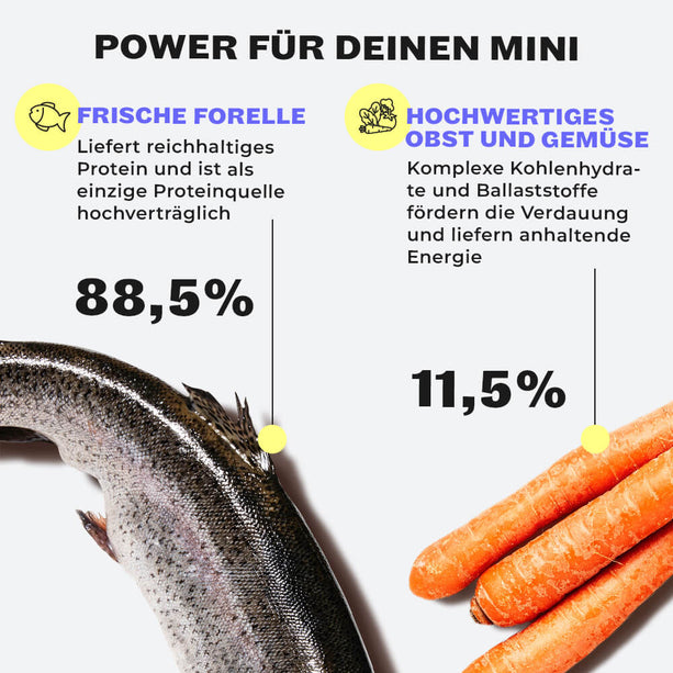 Marvelous Minis Snacks Zutaten
