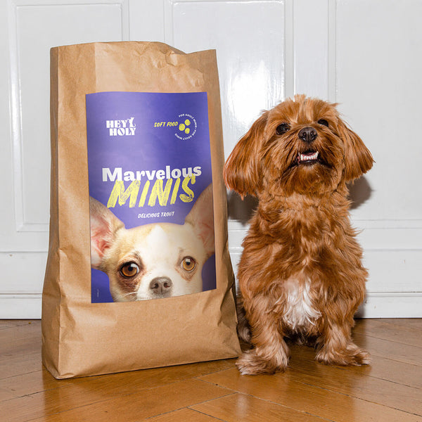 Marvelous Minis - Croquettes molles - Truite