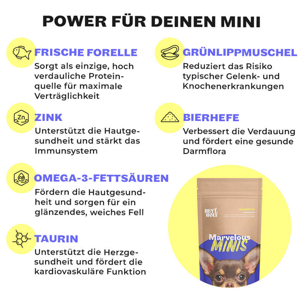 Marvelous Minis - Dry Food - Trout - Sample