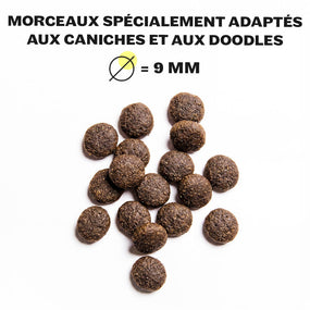 Precious Poodle - Dry Food - Sample