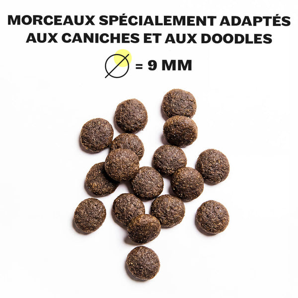 Precious Poodle - Dry Food - Sample