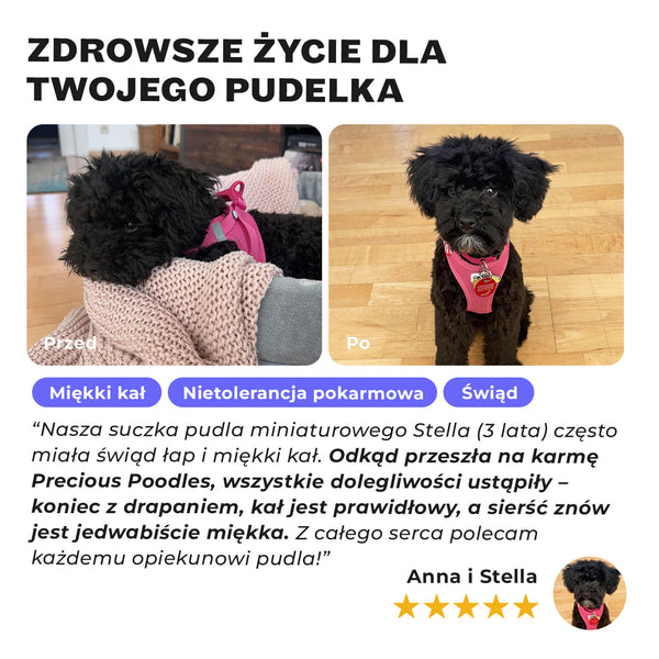 Precious Poodle - Dry Food - Sample
