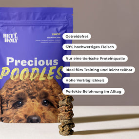 Schwarzer Pudel bekommt in der Wohnung einen HEY HOLY Precious Poodles Snack aus der Hand als Belohnung