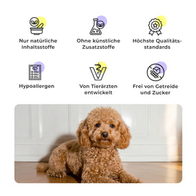 Kundenbewertungen zu den HEY HOLY Precious Poodles Snacks