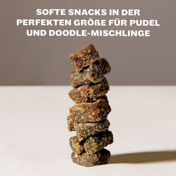 HEY HOLY Precious Poodles Snacks Beutel mit Single Protein Ente, hergestellt in Deutschland, von Tierärzten entwickelt