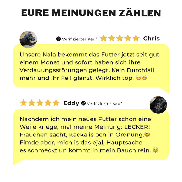 5-Sterne Kundenbewertungen für Ravishing Retrievers Trockenfutter für Retriever