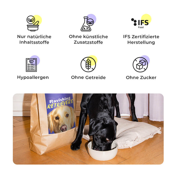 Schwarzer Labrador frisst aus weißem Napf neben Ravishing Retrievers Trockenfutter Verpackung mit Qualitätsmerkmalen
