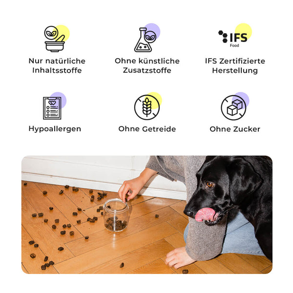 Schwarzer Labrador neben Leckerlies auf dem Boden, daneben Qualitätsmerkmale der Ravishing Retrievers Snacks