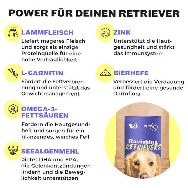Ravishing Retrievers - Croquettes