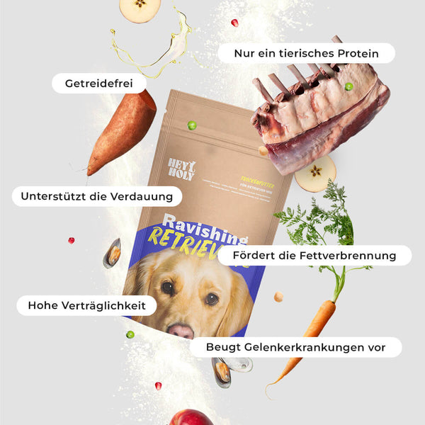 Ravishing Retrievers - Dry Food - Sample
