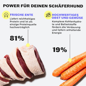Entenfleisch und Möhren als Inhaltsstoffe der Shine-Bright Shepherds Snacks