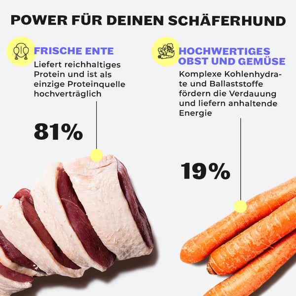 Entenfleisch und Möhren als Inhaltsstoffe der Shine-Bright Shepherds Snacks
