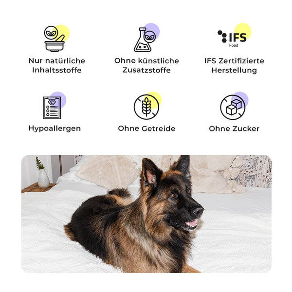 Deutscher Schäferhund auf weißem Bett neben Qualitätsmerkmalen des Shine Bright Shepherds Trockenfutters